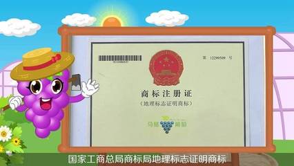 【微視頻】不是所有的葡萄都叫馬陸葡萄!馬陸葡萄的前世今生在這里: