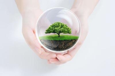 合格供應商綜合實力評價認證證書-快速辦理 認監(jiān)委網(wǎng)站查詢